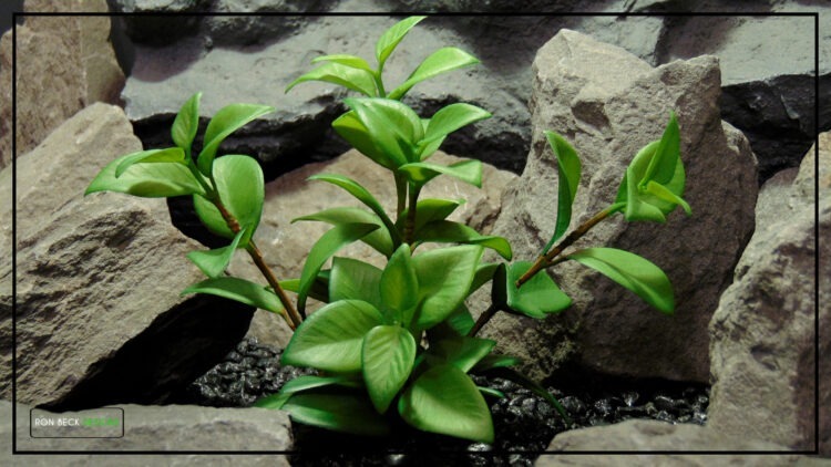 Artificial Lipstick Vine Plant - Reptile Terrarium - prp451.jpg 2