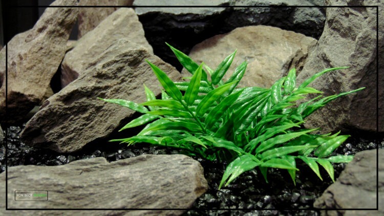 Artificial Pinnate Leaf Bush - Aquarium or Reptile Habitat Plantparp452.jpg 2