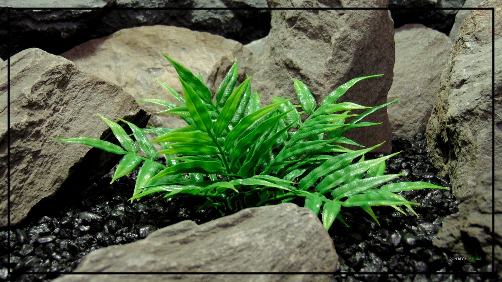 Artificial Pinnate Leaf Bush - Aquarium or Reptile Habitat Plantparp452.jpg 3