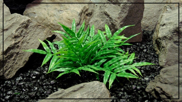 Artificial Pinnate Leaf Bush - Aquarium or Reptile Habitat Plantparp452.jpg 4