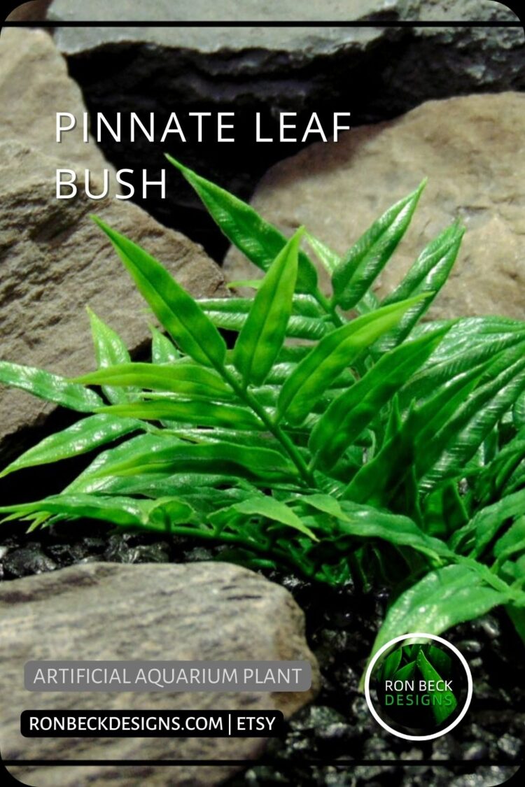 Pinnate Leaf Bush - NEW DESIGN PINTEREST POST