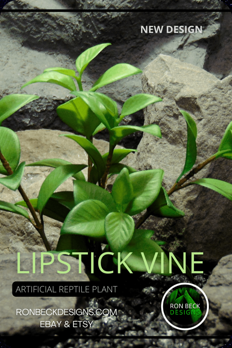 Artificial Lipstick Vine Plant – Reptile Terrarium Plant - prp451 Pinterest