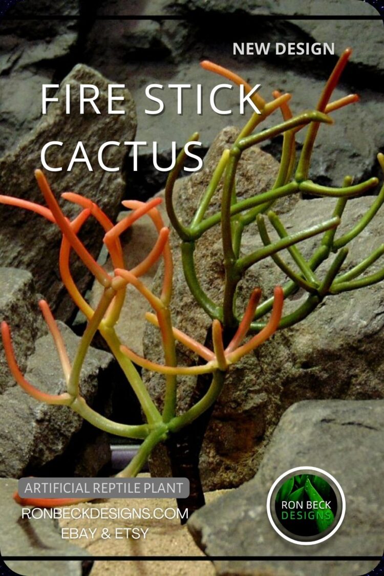 Fire Stick Cactus - NEW DESIGN PINTEREST POST