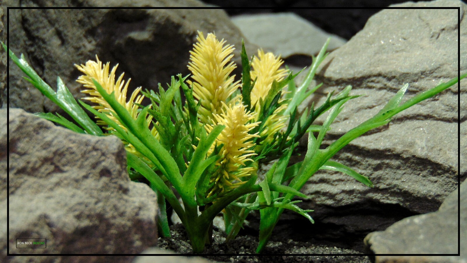 Artificial Cactus Flower Blooms - Reptile Desert Plant - prp455 5
