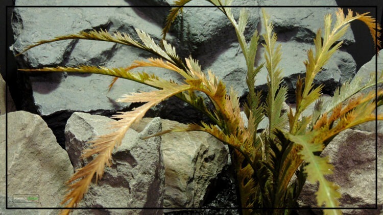 Artificial Feather Leaf Fern (Fall) - Reptile Terrarium Plant - prp288 2022 3