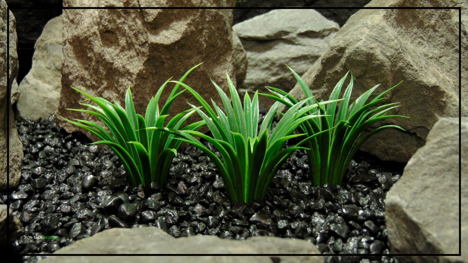 Plastic Aquarium Plants  Turf Grass Plot From Ron Beck Designs.