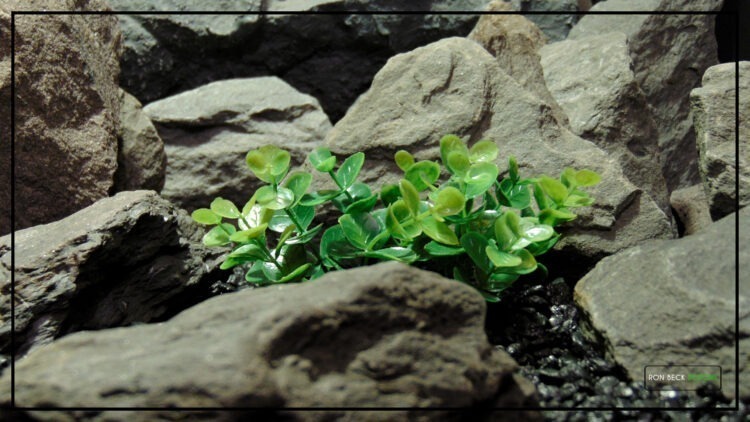 Artificial Boxwood Bushes - Aquarium Plants - PARP460 3