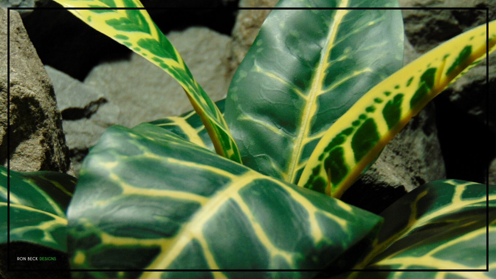 Artificial Croton Leaves Bush - 'real touch' - Reptile Terrarium Plant - PRP458 4