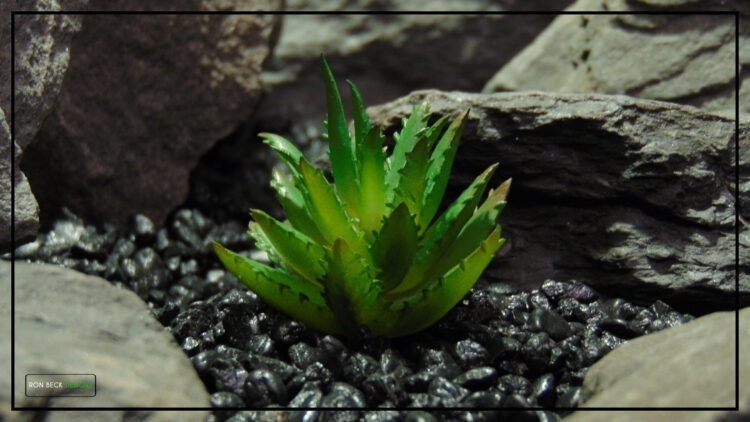 Artificial Mini Aloe - Desert Reptile Plant Succulent - prp462.jpg 3