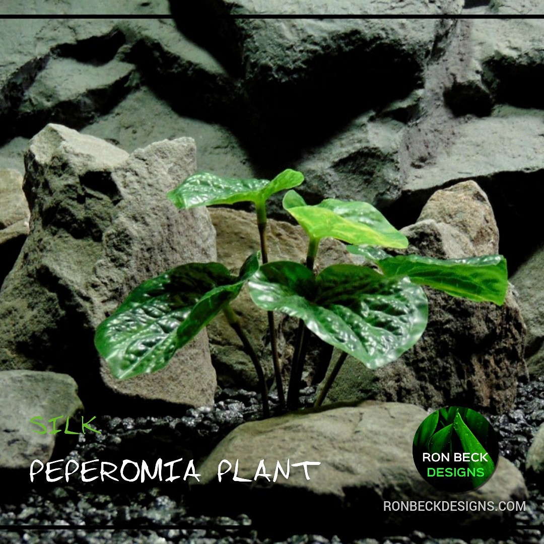 Artificial Peperomia Plant – Silk Reptile Terrarium Plant SRP403 0