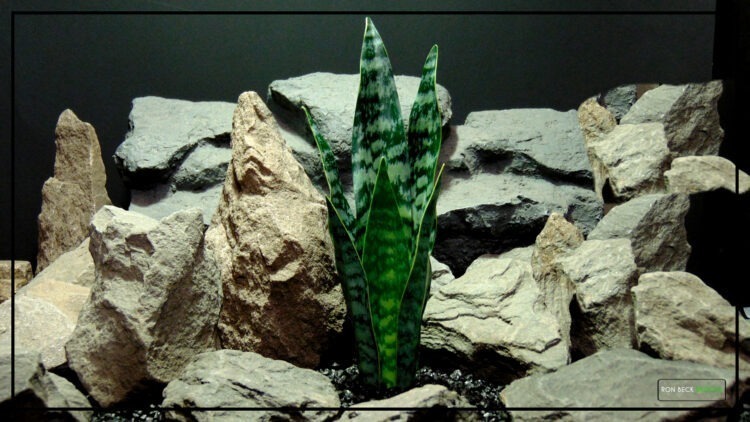 Artificial Sansevieria Zeylanica Reptile Terrarium Plant prp465 1