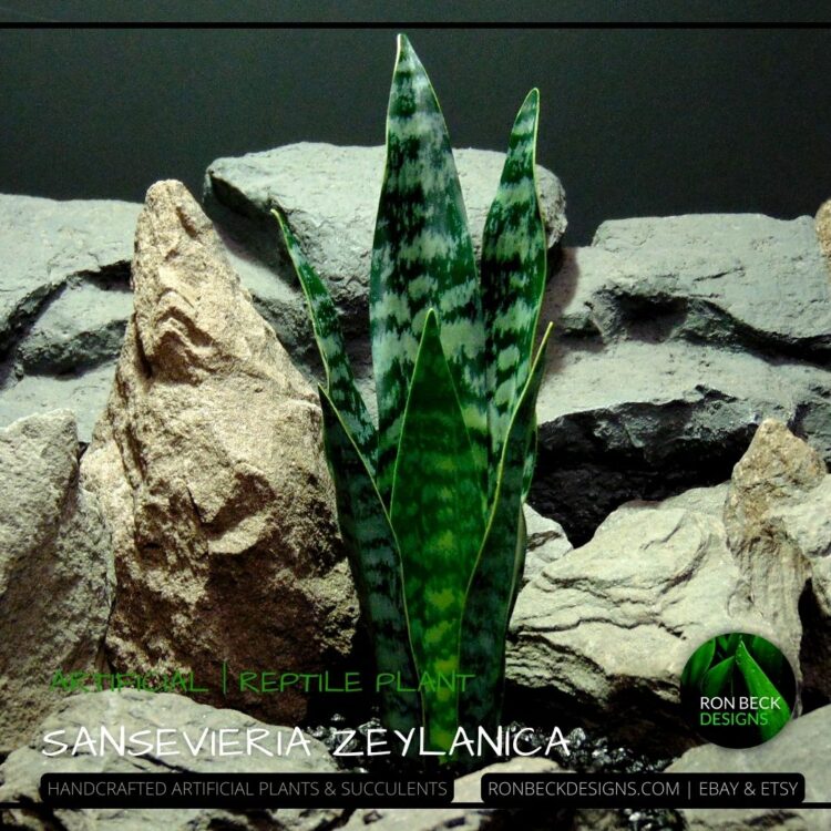 Artificial Sansevieria Zeylanica prp465 1080 1080 (2)