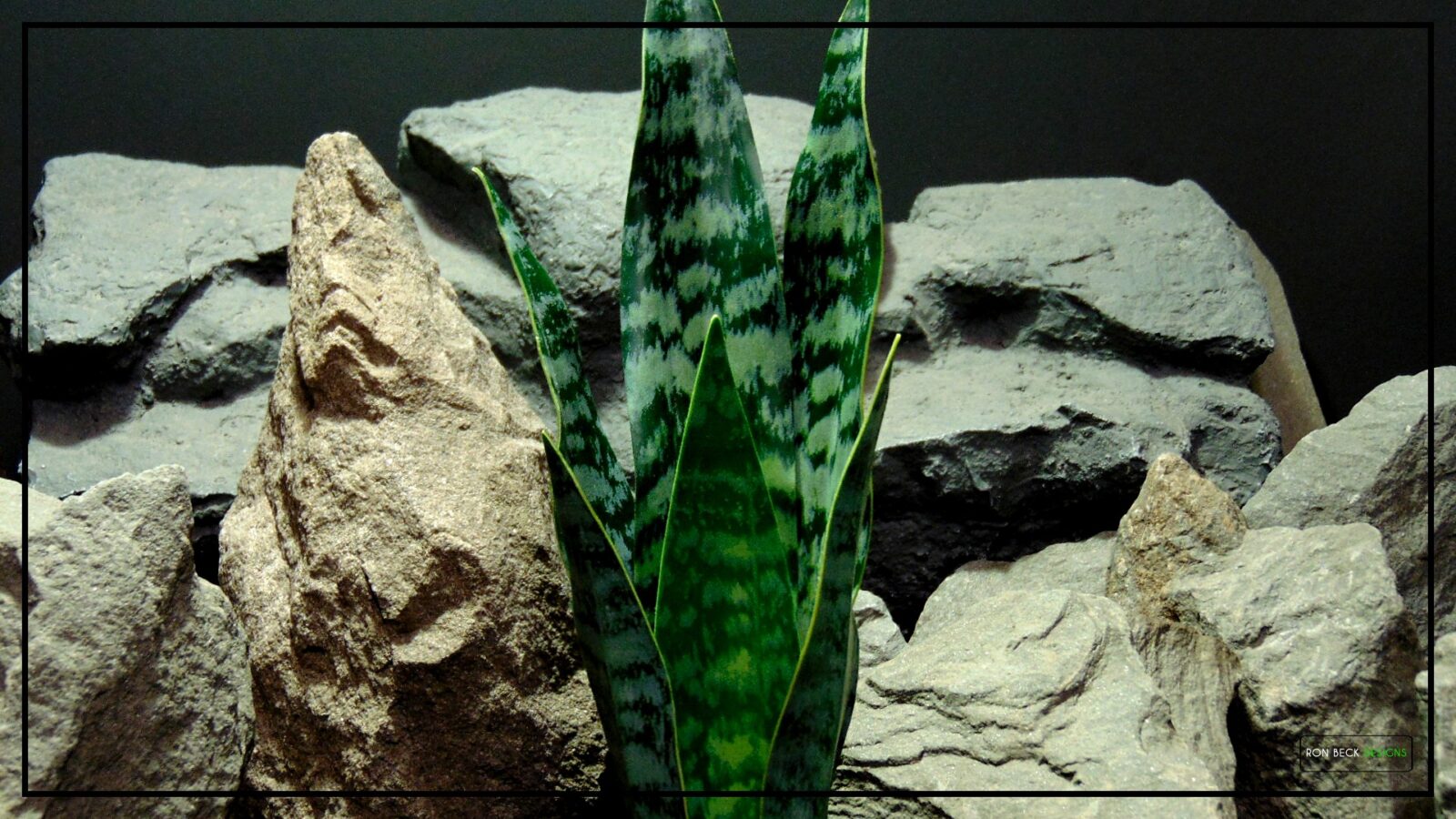 Artificial Sansevieria Zeylanica Reptile Terrarium Plant prp465 2