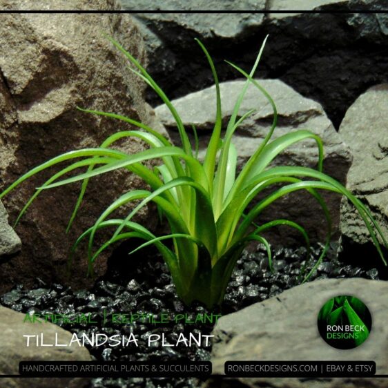 Artificial Tillandsia Medium Reptile Terrarium Plant PRP467 1080 1080