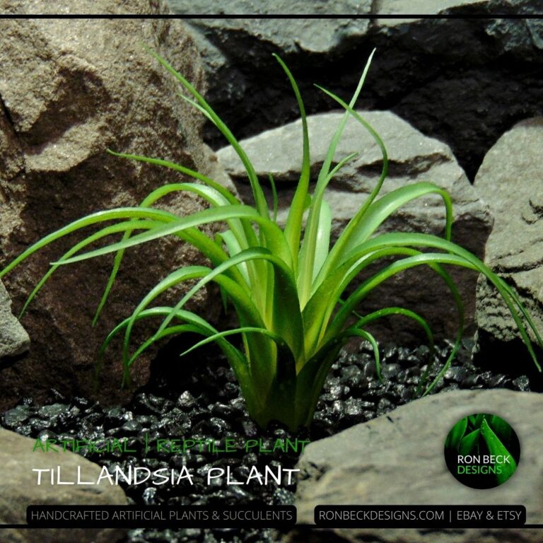 Artificial Reptile Terrarium Plants And Succulents