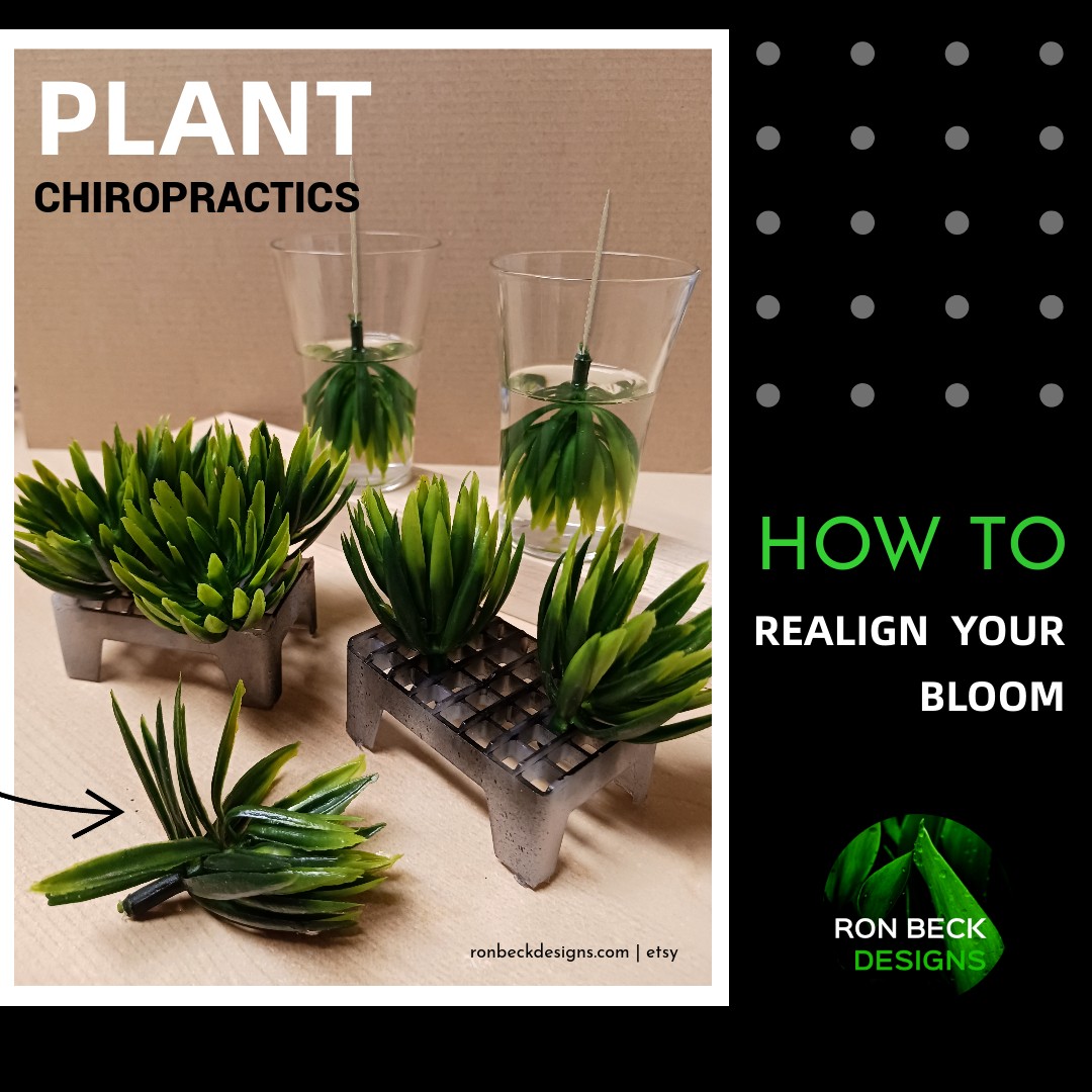 Plant Chiropractics - Artificial Plants - Ron Beck Designs 1080 1080