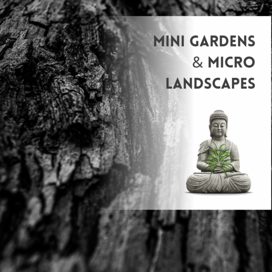Artificial Miniature Gardens & Desktop Micro Landscapes