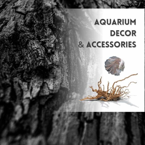 Aquarium Decor and Accessories