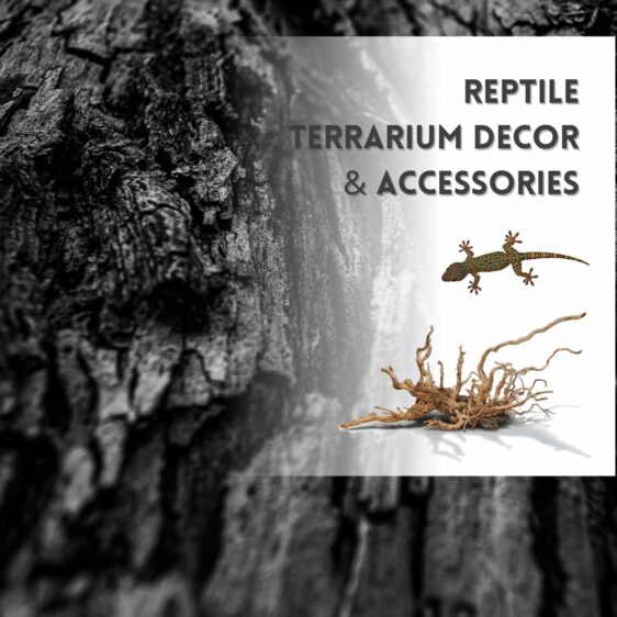 Reptile Decor and Accessories