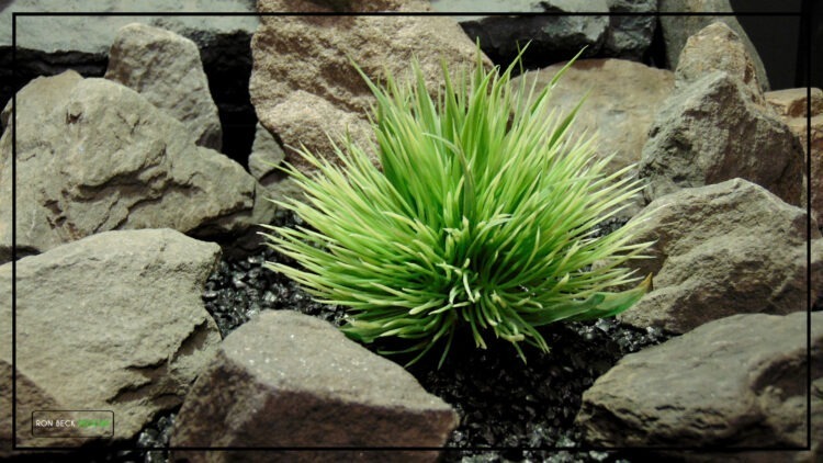 Artificial Grass Mound - Reptile Terrarium Plant - PRP481 3