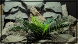 Artificial Sago Palm - Reptile Terrarium Plant prp482