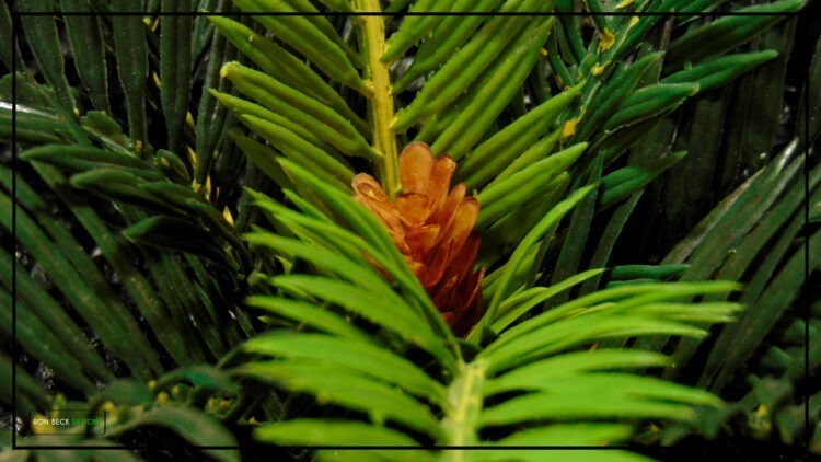 Artificial Sago Palm - Reptile Terrarium Plant prp482 5