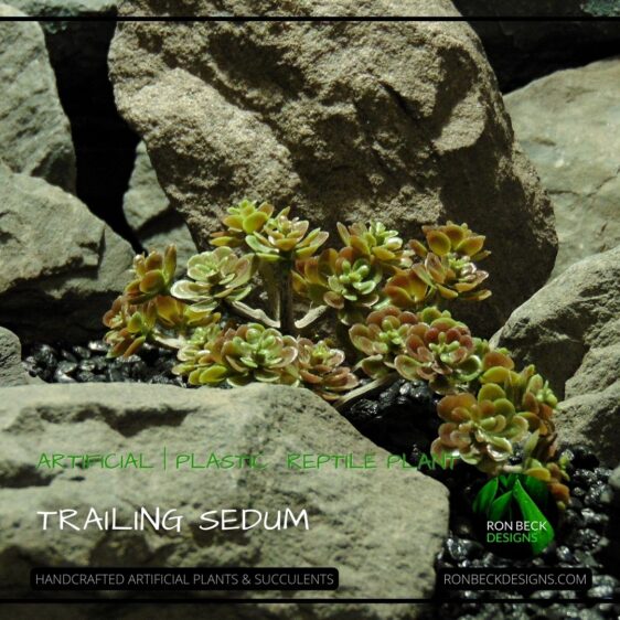 Artificial Trailing Sedum Desert Reptile Succulent PRS480 1080 x 1080