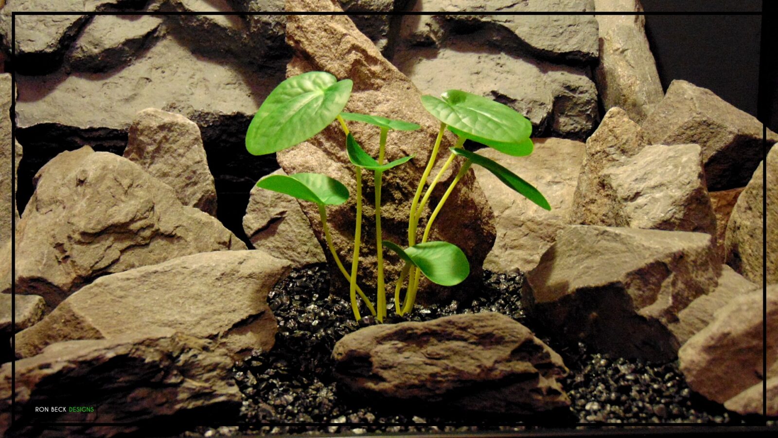 Artificial Chinese Money Plant - Reptile Terrarium Plant - Real Touch srp485