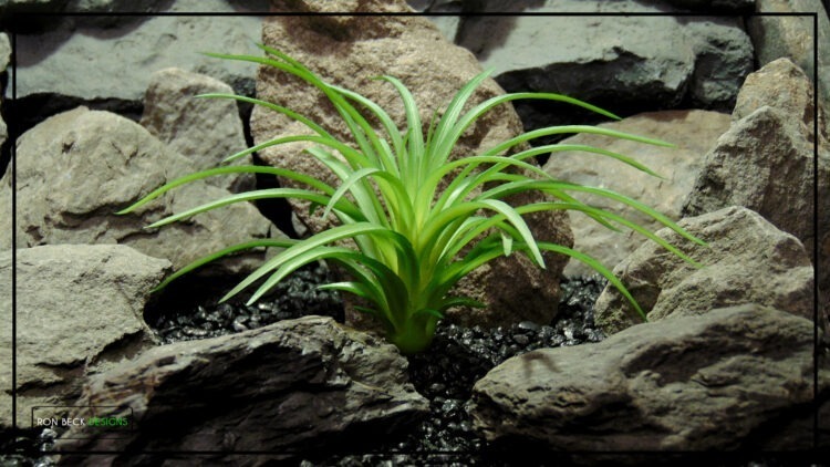 Artificial Tillandsia Plant - Reptile Terrarium Plant PRS483 1