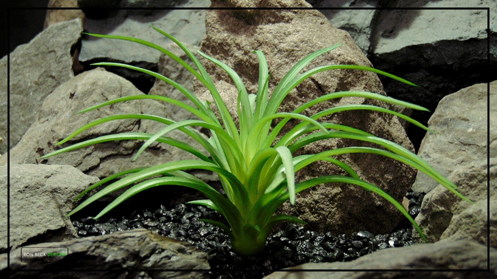 Artificial Tillandsia Plant - Reptile Terrarium Plant PRS483 2