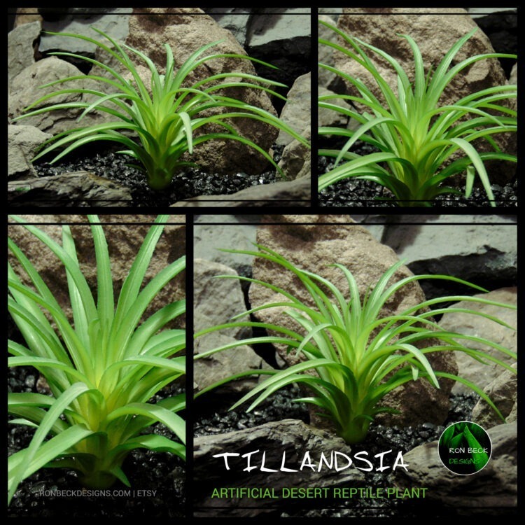 Artificial Tillandsia Plant - Reptile Terrarium Plant PRS483 2000 x 2000