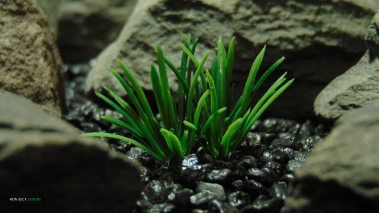 Artificial Miniature Grass Bloom - Ron Beck Designs -PARP487 3