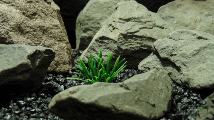 Artificial Miniature Grass Bloom - Ron Beck Designs -PARP487