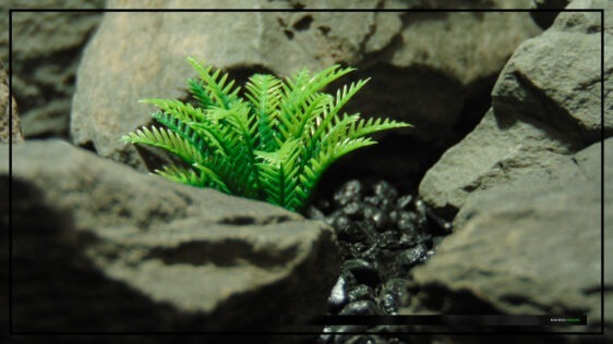 Artificial Miniature Spring Fern - Aquarium Reptile Plant - parp489 1