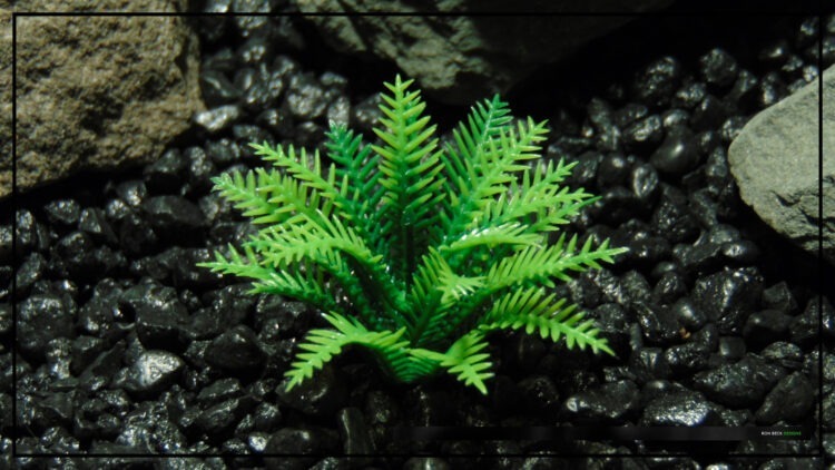 Artificial Miniature Spring Fern - Aquarium Reptile Plant - parp489 3