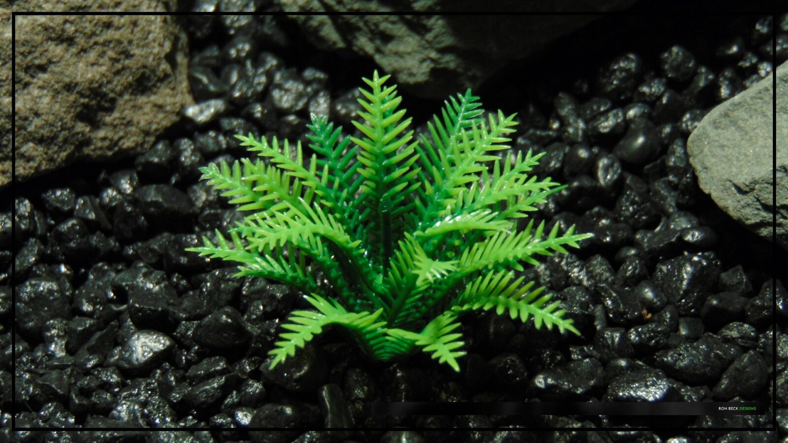Artificial Miniature Spring Fern - Reptile Plant PRP489