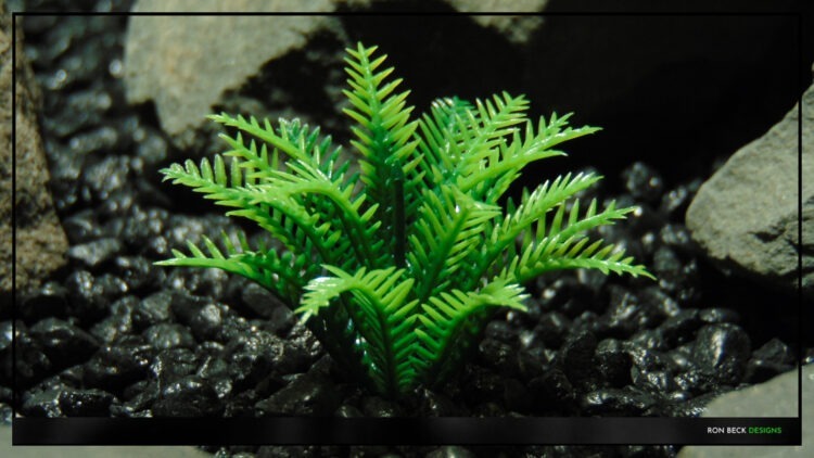 Artificial Miniature Spring Fern - Aquarium Reptile Plant - parp489 4
