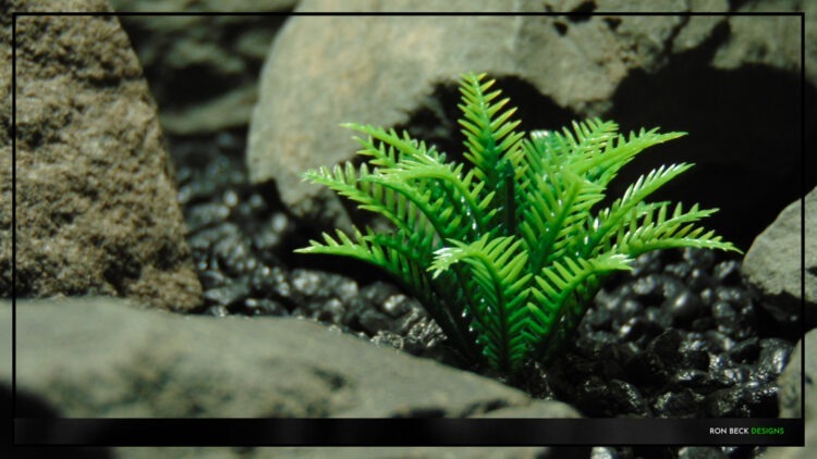 Artificial Miniature Spring Fern - Aquarium Reptile Plant - parp489 5