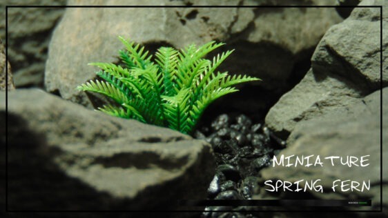 Title Artificial Miniature Spring Fern - Aquarium Reptile Plant - parp489