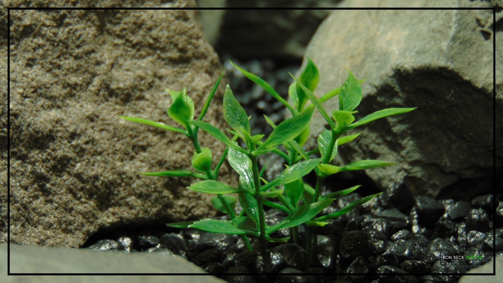 Artificial Mini Leaves - Aquarium Reptile Plant PRP493 4