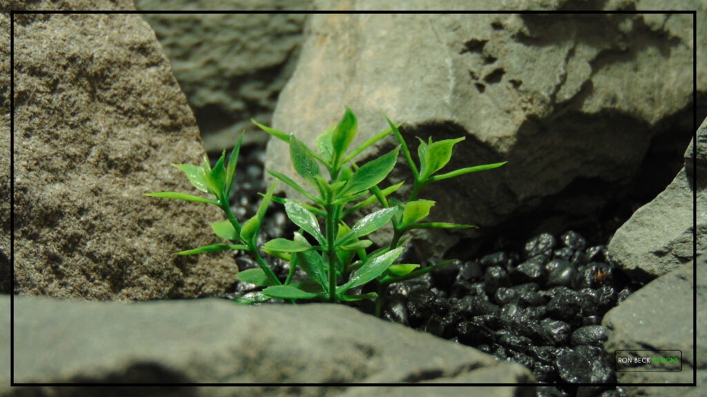 Artificial Mini Leaves - Aquarium Reptile Plant PARP493 6
