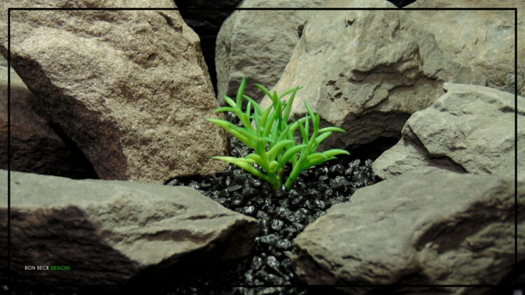 Artificial Mini Senecio Succulent Desert Reptile Plant prs502