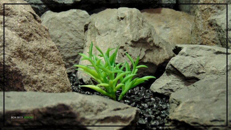 Artificial Mini Senecio Succulent Desert Reptile Plant prs502 3