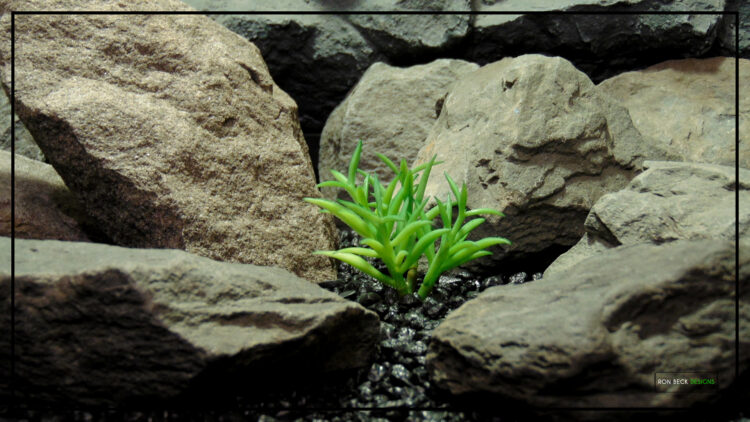 Artificial Mini Senecio Succulent Desert Reptile Plant prs502 4