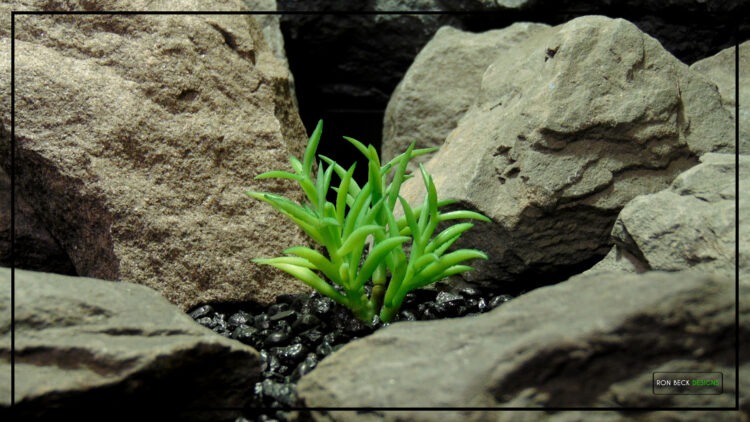 Artificial Mini Senecio Succulent Desert Reptile Plant prs502 T