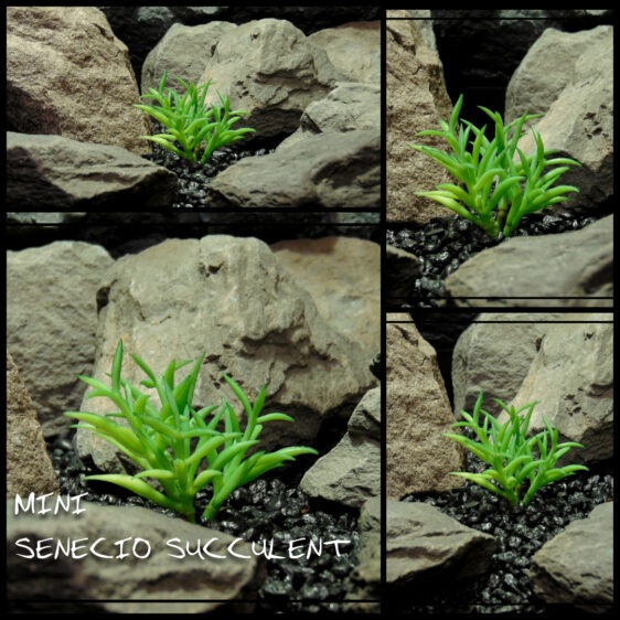 Artificial Mini Senecio Succulent Desert Reptile Plant prs502 grid 1080