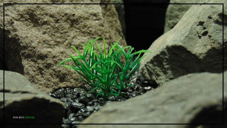 Artificial Miniature Spring Grass | Aquarium Plant parp488 4