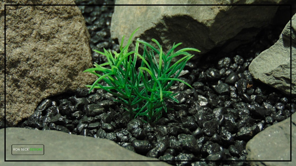 Artificial Miniature Spring Grass | Aquarium Plant parp488 5