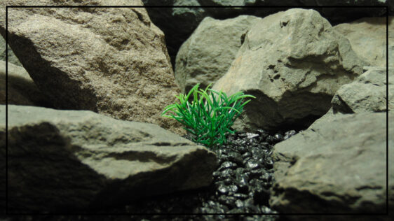 Artificial Miniature Spring Grass | Aquarium Reptile Plant parp488 2