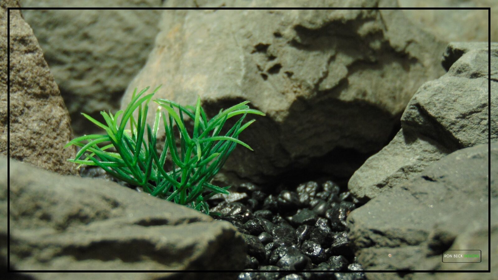 Artificial Miniature Spring Grass | Aquarium Reptile Plant prp488 3